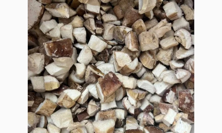 Продам гриби білі - фото № 1