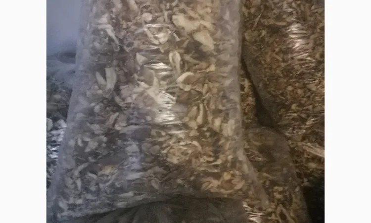 Продам білі гриби сушені - фото № 2