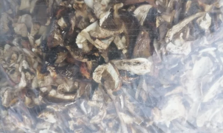 Продам білі гриби сушені - фото № 4