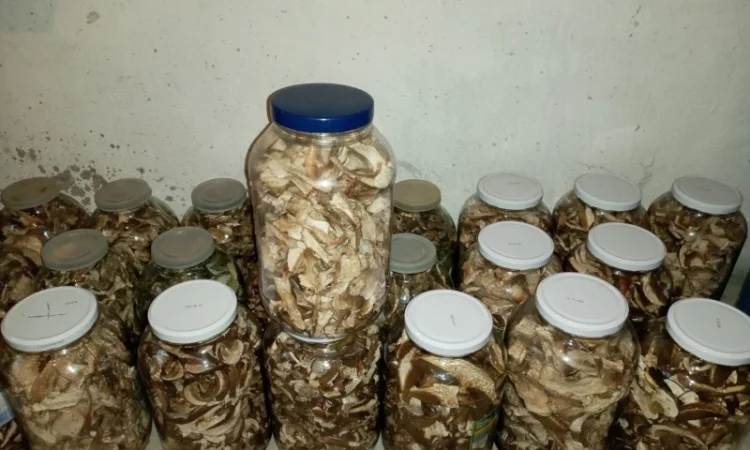 Сушені білі гриби - фото № 2