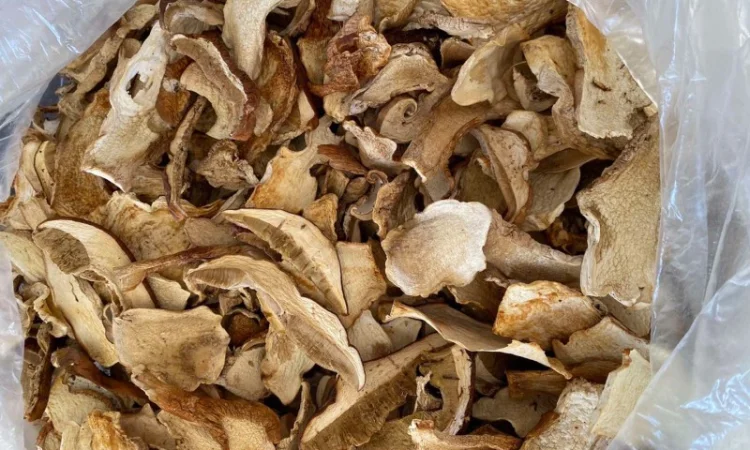 Сушеный белый гриб - фото № 2