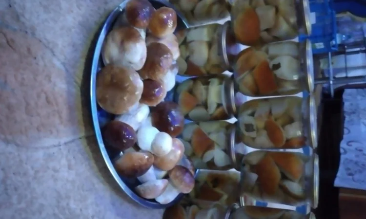 Продам Карпатські білі гриби: мариновані, сушені - фото № 1