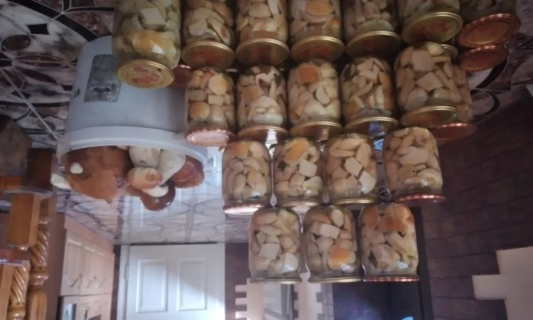 Продам Карпатські білі гриби: мариновані, сушені - фото № 3