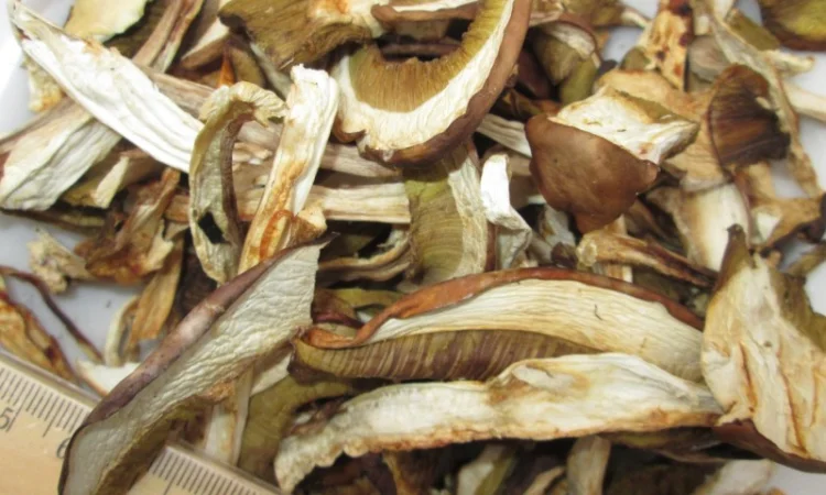 Гриб, белый, сухой - фото № 1