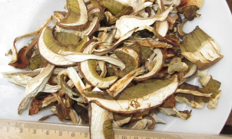 Гриб, белый, сухой - фото № 2