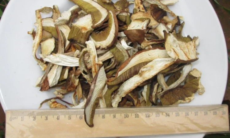 Гриб, белый, сухой - фото № 3