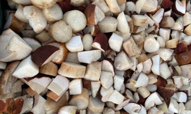 Продаємо білі гриби (заморожені, сушені, мариновані) - фото № 2