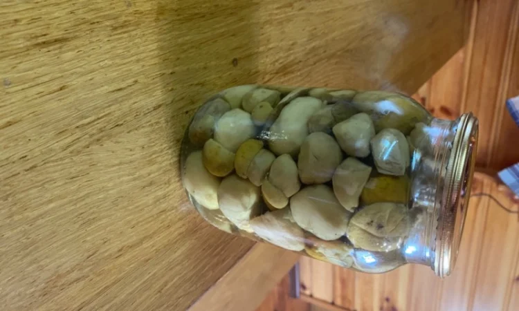 Продаємо білі гриби (заморожені, сушені, мариновані) - фото № 7