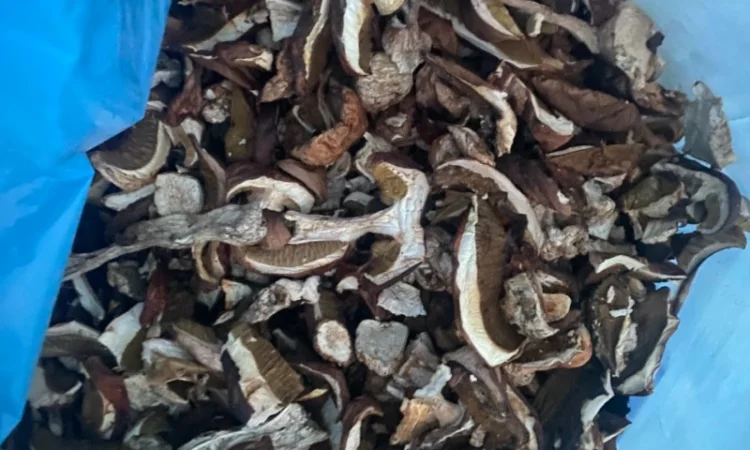 Продам сушені білі гриби - фото № 2