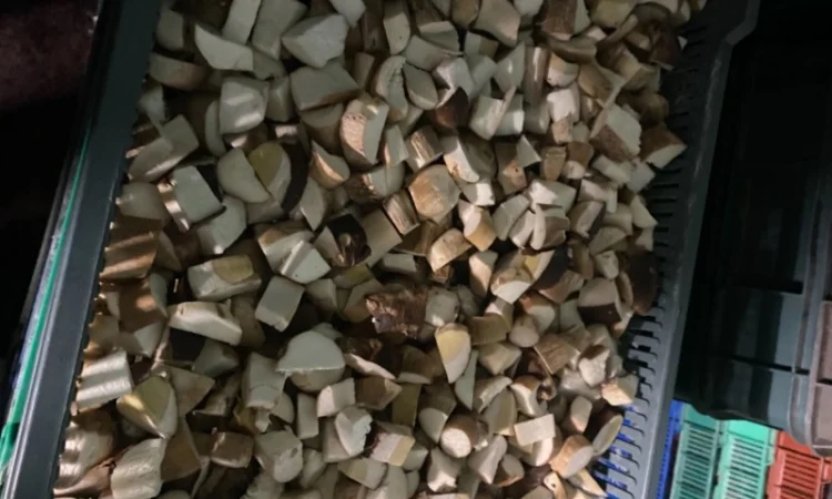 Продам заморожені білі гриби - фото № 1