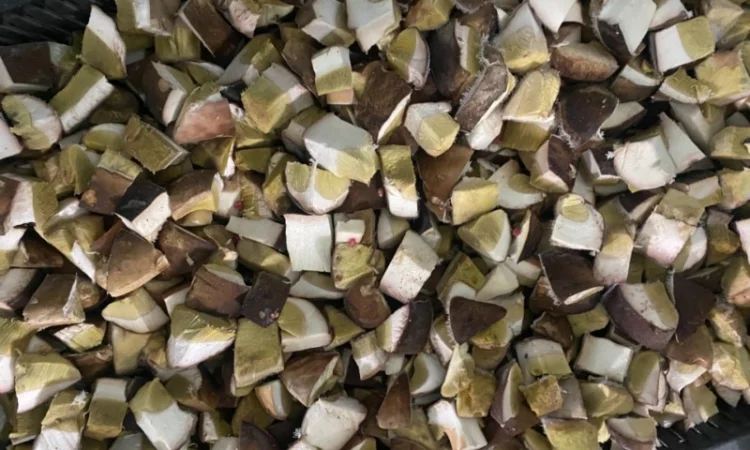 Продам заморожені білі гриби - фото № 2