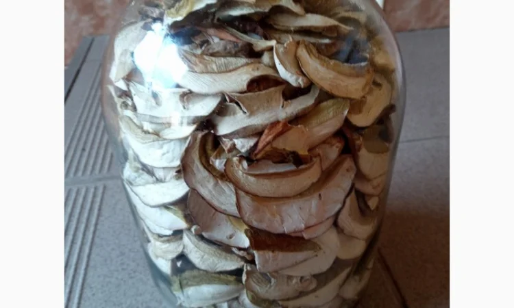 Гриби білі, сухі - фото № 1