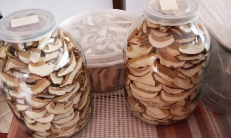 Продажа белых грибов - фото № 9