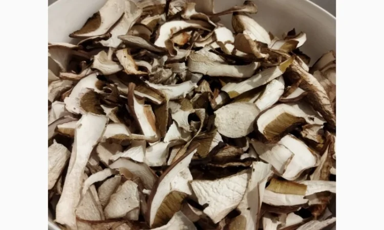 Продажа белых грибов - фото № 10