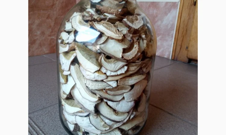 Гриби білі, сухі - фото № 3