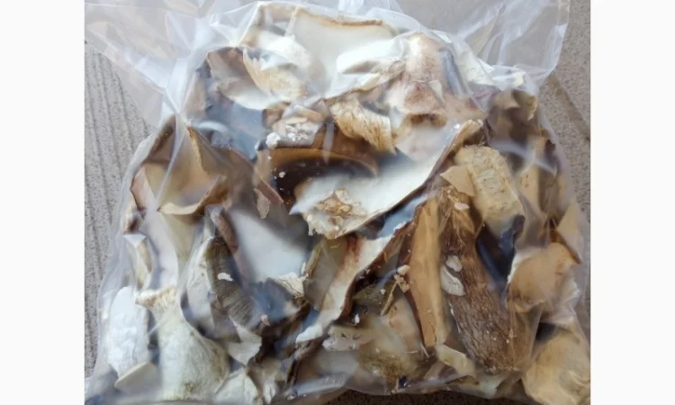 Гриби білі, сухі - фото № 4