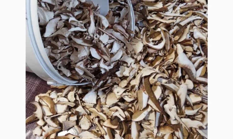 Продажа белых грибов - фото № 4