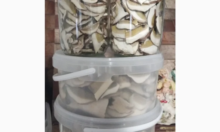 Продажа белых грибов - фото № 6