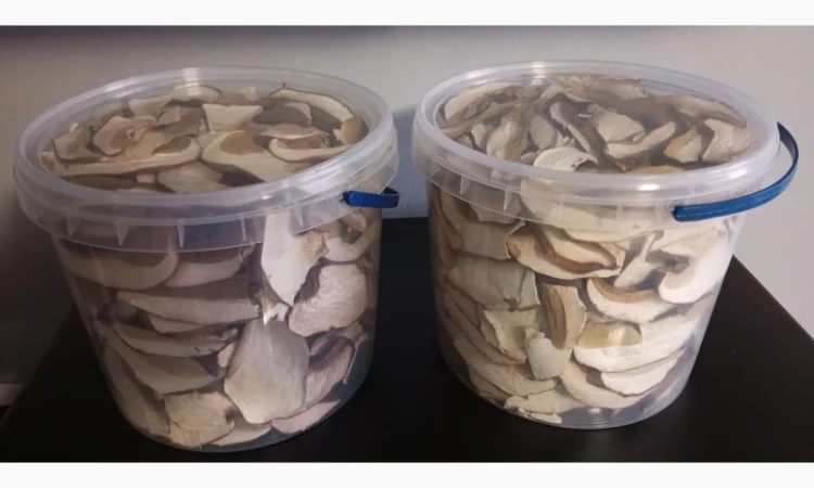 Продажа белых грибов - фото № 8