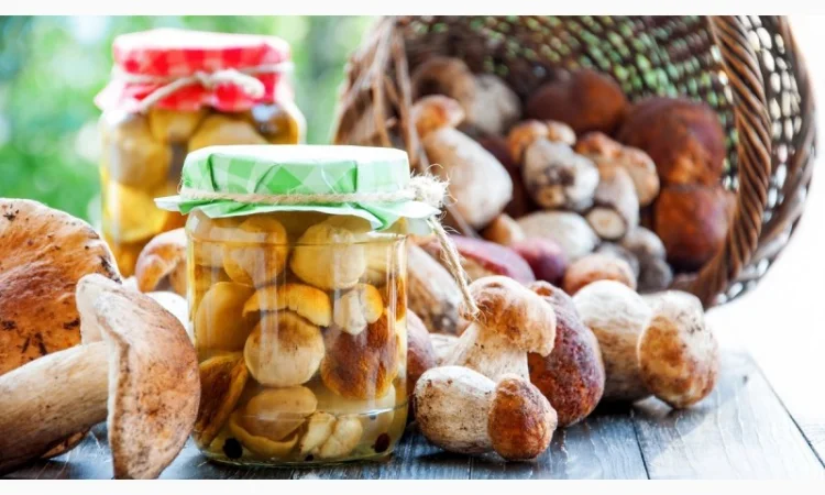 Білі гриби - фото № 2