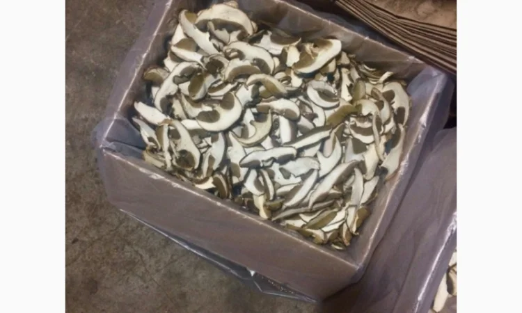 Сухі Білі Гриби - фото № 1