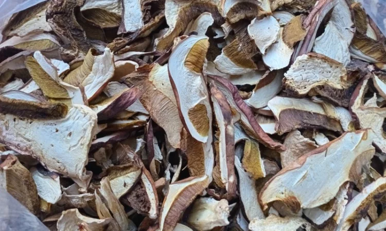 Є в наявності сушені білі гриби урожаю 2024 - фото № 2