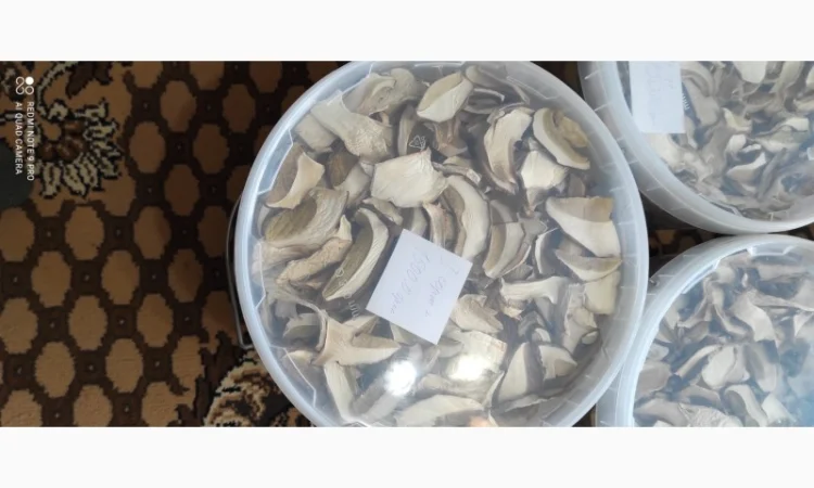 Гриби білі сушені з Карпат - фото № 2