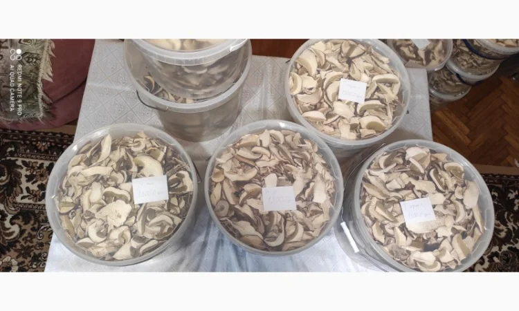 Гриби білі сушені з Карпат - фото № 4