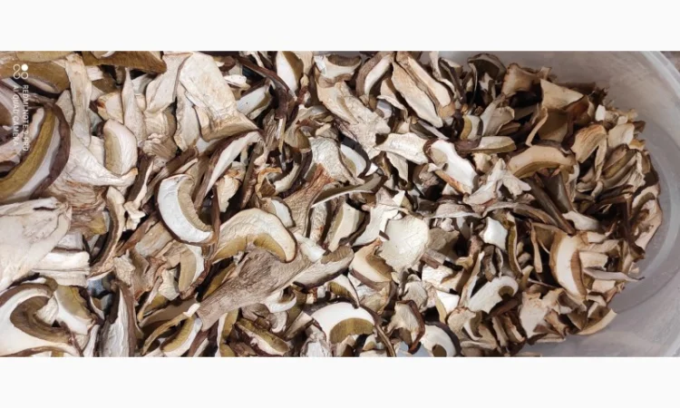 Гриби білі сушені з Карпат - фото № 5