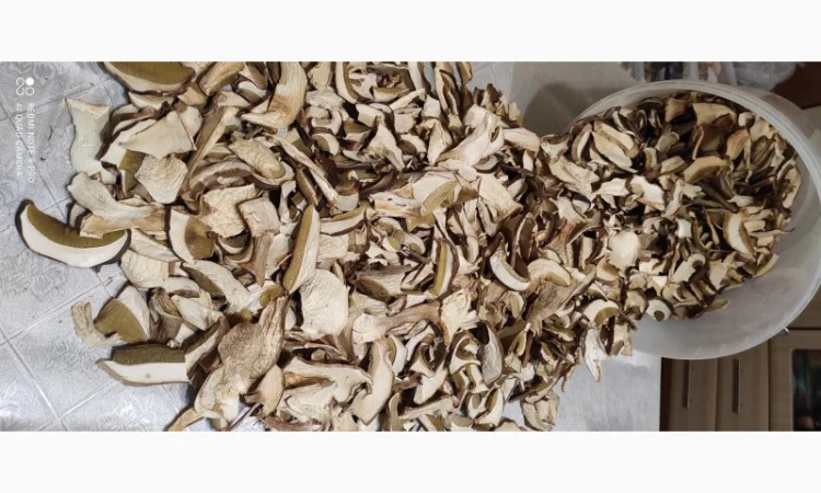 Гриби білі сушені з Карпат - фото № 6