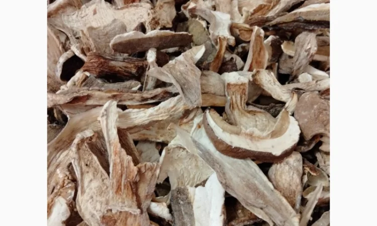 Продам сушені білі гриби (белые сушеные грибы) - фото № 1