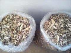 Сухие грибы - фото № 3