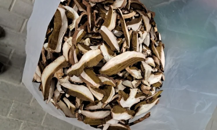 Продам Білий гриб сушений - фото № 1