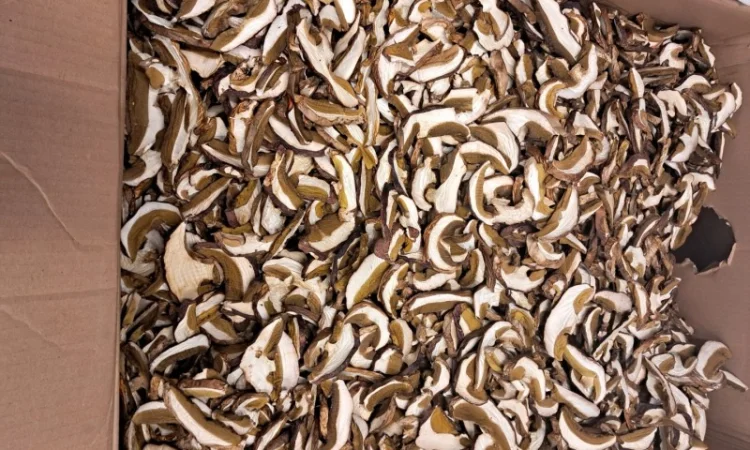 Продам Білий гриб сушений - фото № 2