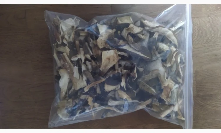 Продаю сухі білі гриби - фото № 1