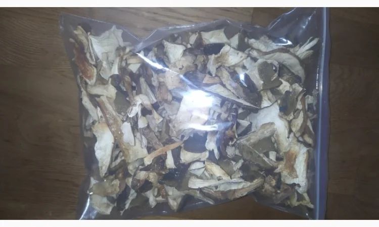 Продаю сухі білі гриби - фото № 2