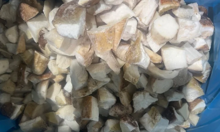 Продам білі гриби врожай 2023 року - фото № 1