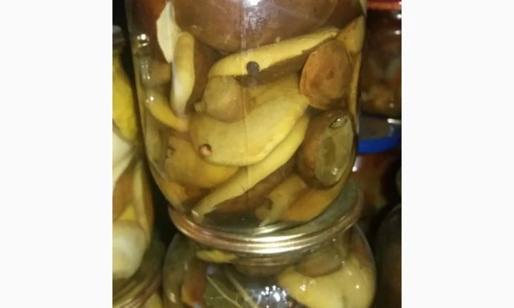 Продам сушені білі жовті та польські грибочки та мариновані білі і польські грибочки - фото № 2