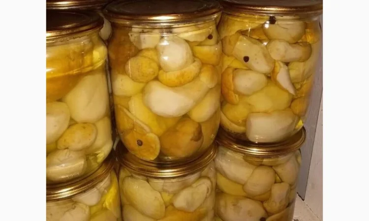 Продам сушені білі жовті та польські грибочки та мариновані білі і польські грибочки - фото № 3