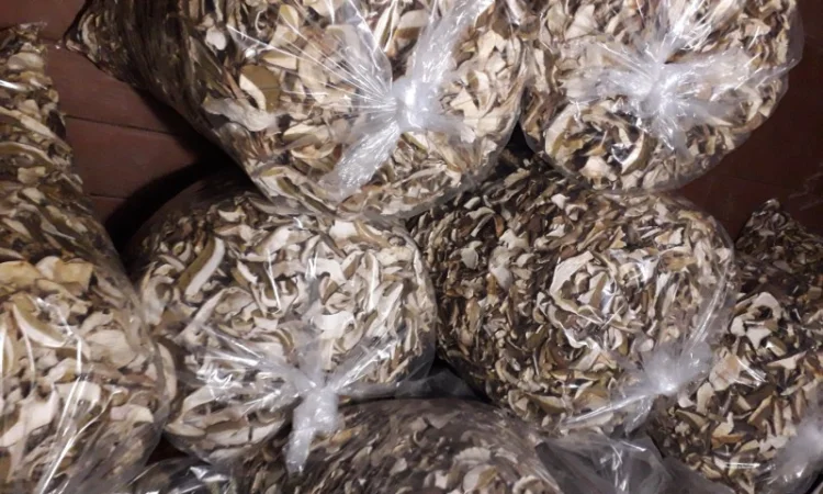 Сушені білі гриби карпатські 2022р - фото № 1