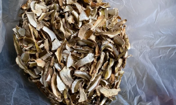 Сушені білі гриби карпатські 2022р - фото № 3