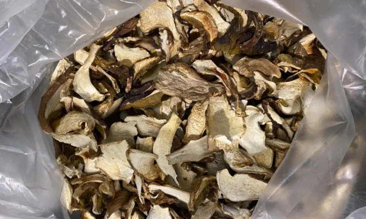 Сушені білі гриби карпатські 2022р - фото № 4