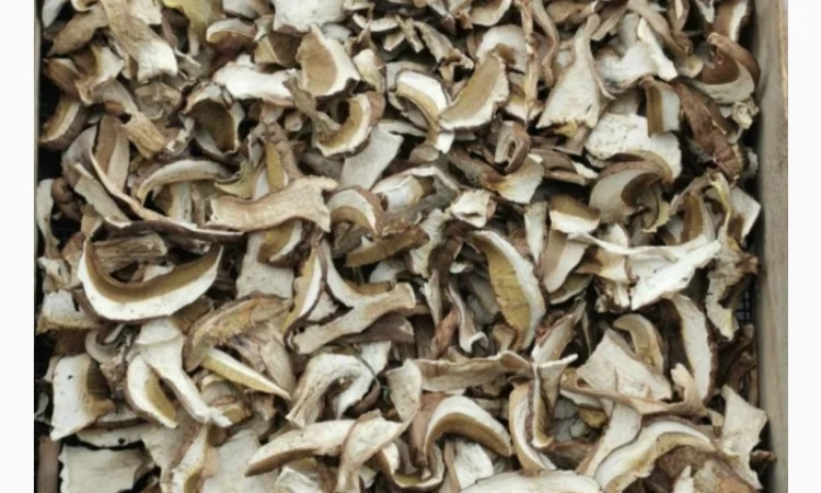 Білі гриби сушені + мариновані - фото № 1