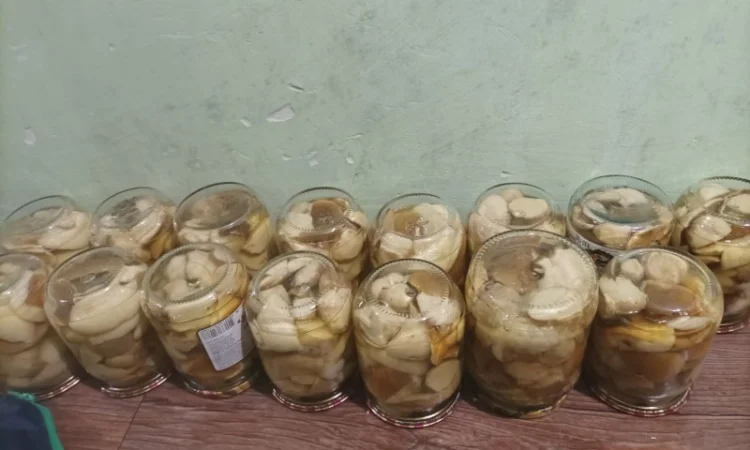 Білі гриби сушені + мариновані - фото № 5