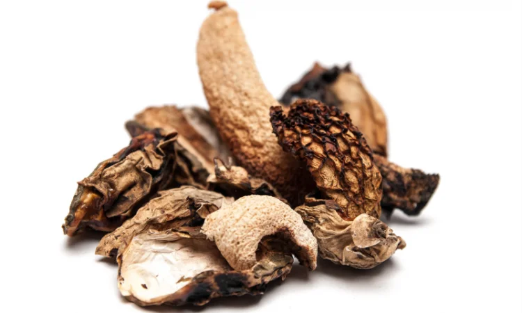 Сушеный гриб Веселка обыкновенная 25г - фото № 2