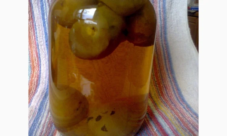 Гриб веселка гриб панна 1л - фото № 1