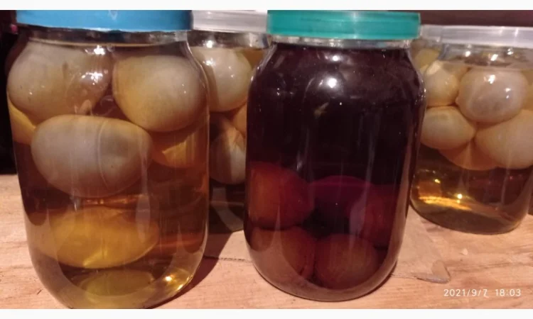 Гриб Веселка, настой - фото № 7