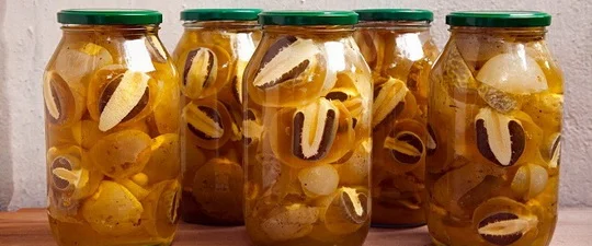 Гриб Веселка, Панна, Срамник, Дивна губа, Соромітник - фото № 5