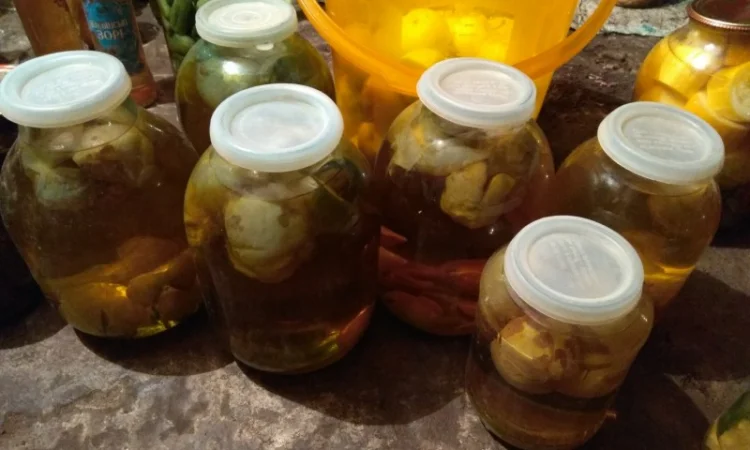 Настойка гриба Весёлки - фото № 1