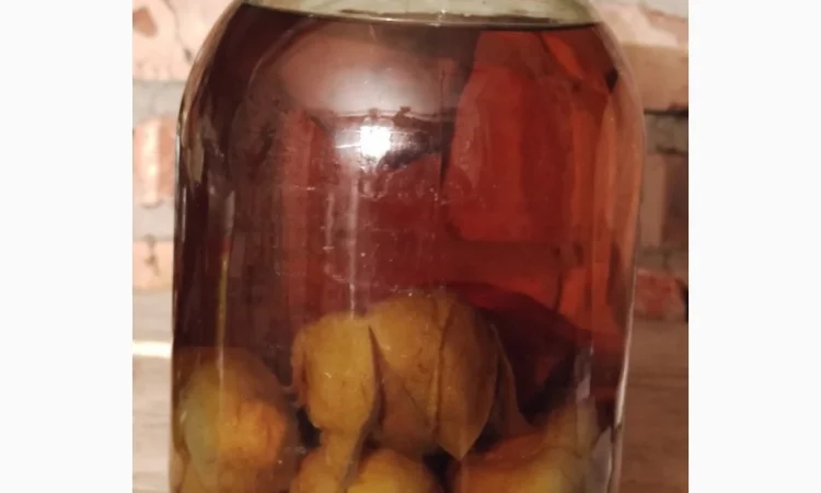 Настойка гриба Весёлки - фото № 2